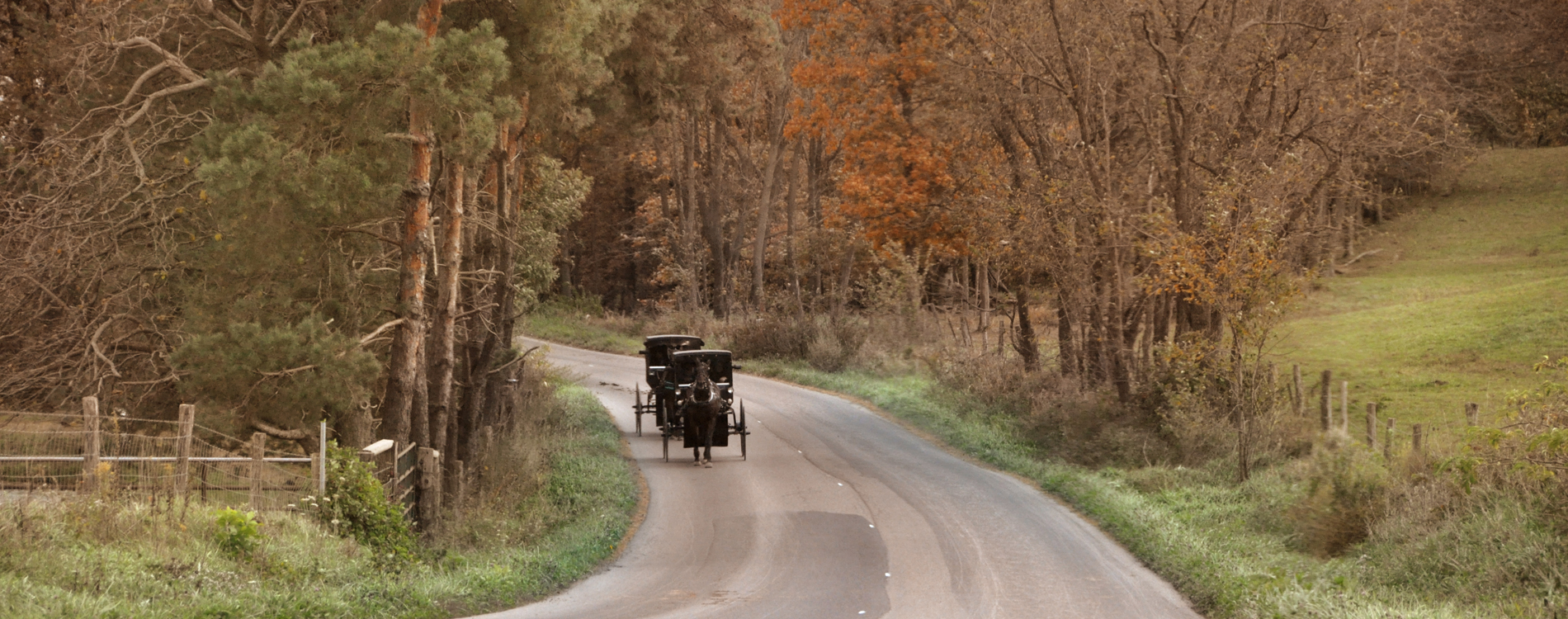 Amish Country, OH - Amish Buggy