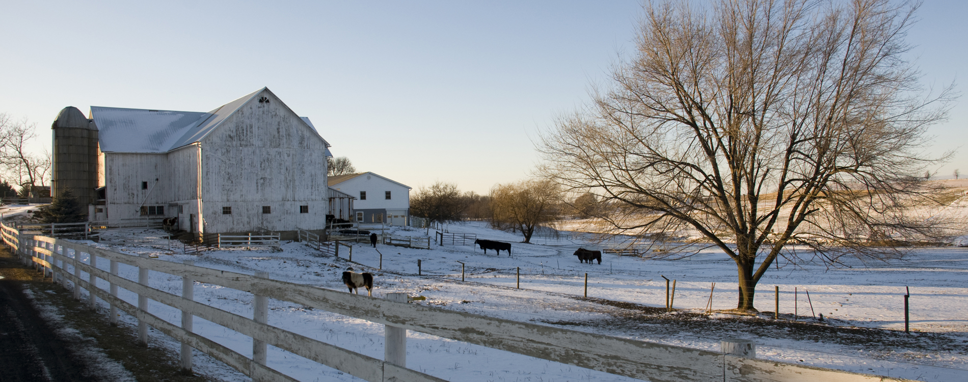 Amish Country, OH - Winter on an Amish Farm
