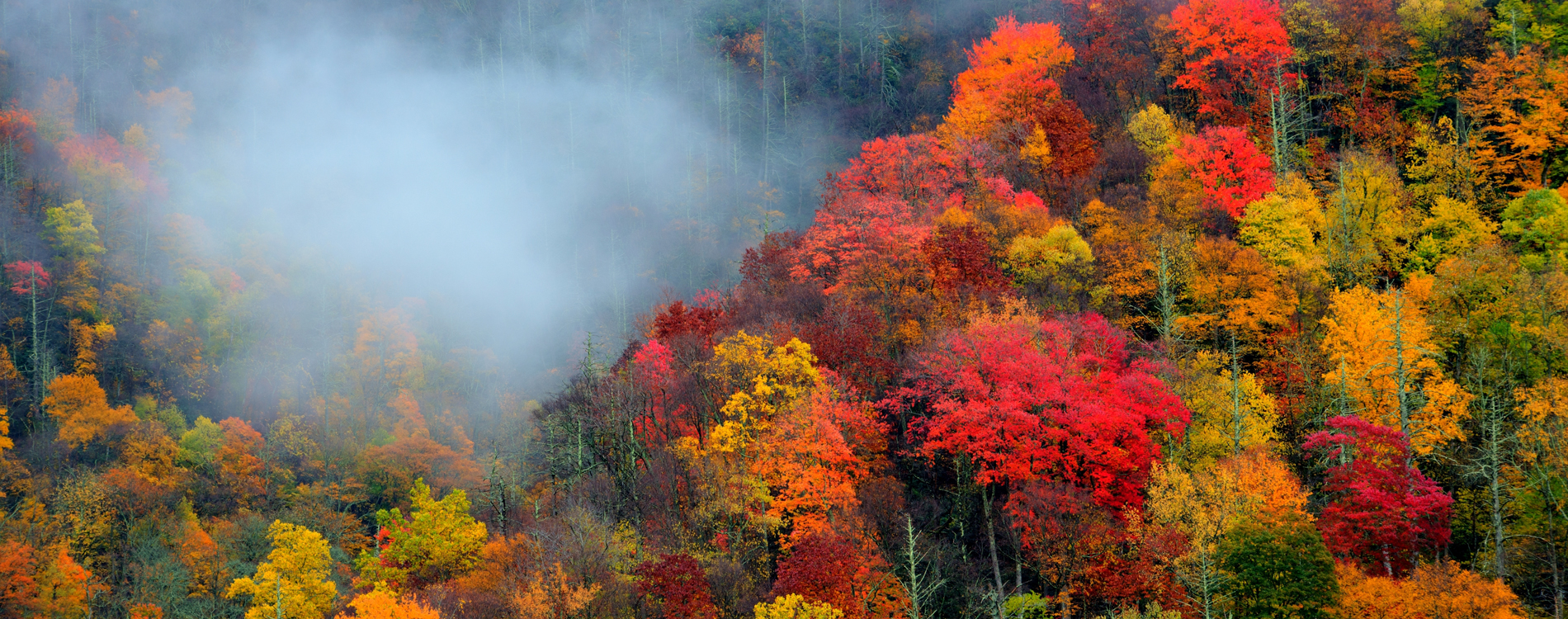 Pigeon Forge, TN - Fall Colors at Morton Overlook